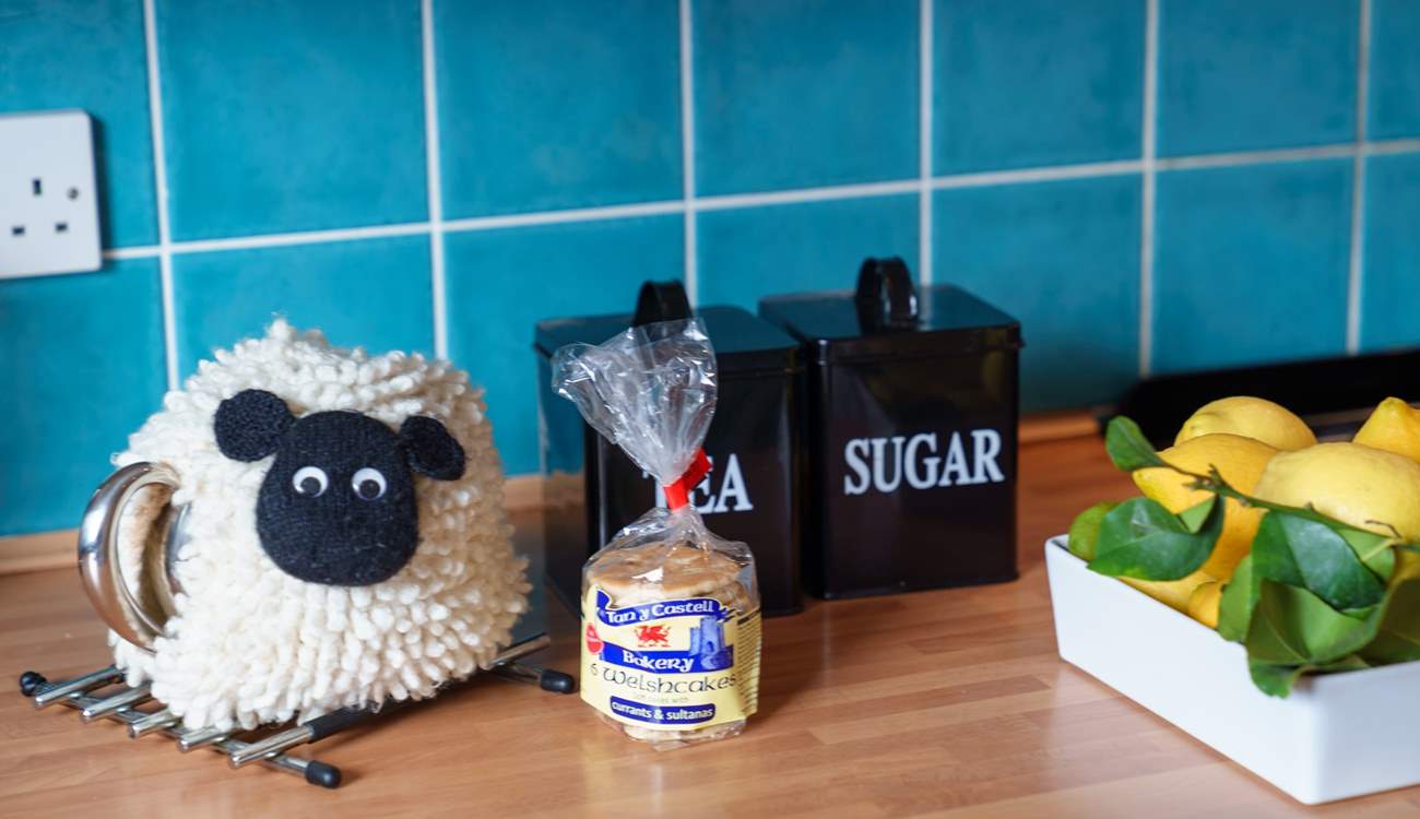 The cutest tea cosy!