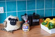 The cutest tea cosy!