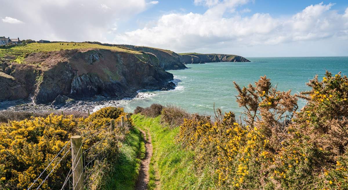 The coastline around Trefin is stunning.