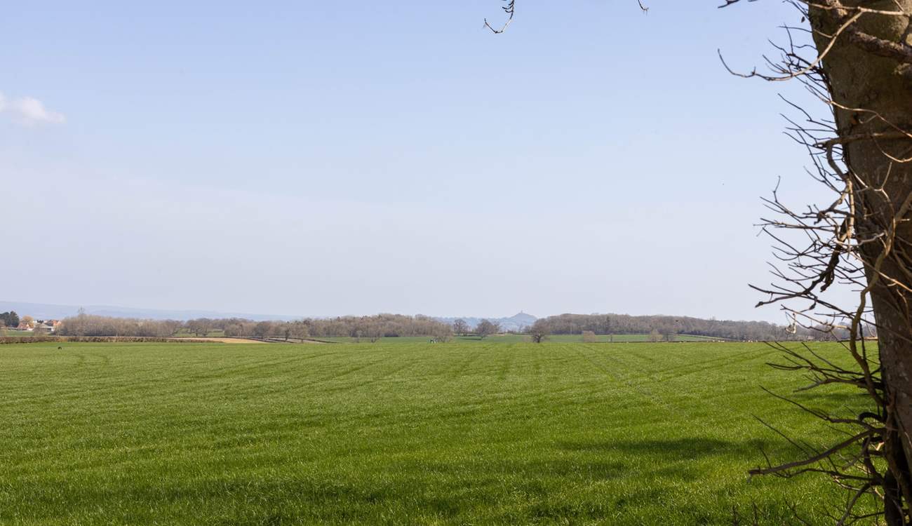 Glorious views from the bottom of the secret garden.