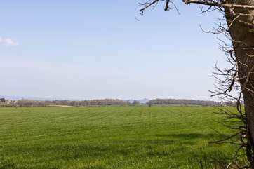 Glorious views from the bottom of the secret garden.
