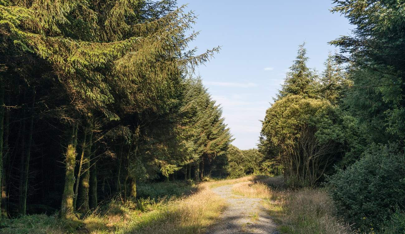 With the most stunning scenery.