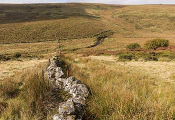 Either on foot or by bike, days can be spent exploring the many trails on Dartmoor.
