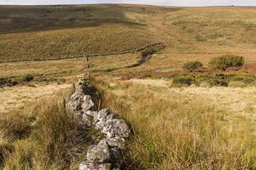 Either on foot or by bike, days can be spent exploring the many trails on Dartmoor.