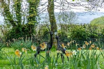 The owners are keen gardeners do have a stroll around.