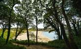 Award-winning Barafundle Beach, swathes of golden sand, crystal clear ocean, pine trees and sand dunes. Bliss.  - Thumbnail Image