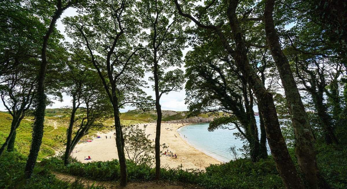 Award-winning Barafundle Beach, swathes of golden sand, crystal clear ocean, pine trees and sand dunes. Bliss. 