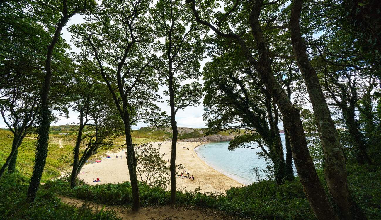 Award-winning Barafundle Beach, swathes of golden sand, crystal clear ocean, pine trees and sand dunes. Bliss. 