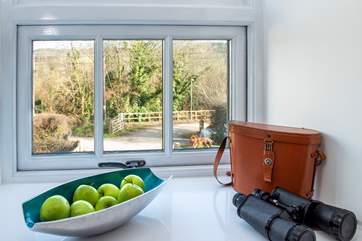 Binoculars at the ready to spot the wild and birdlife