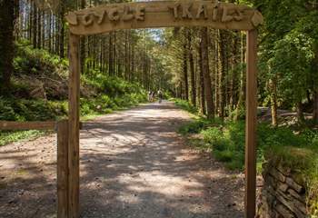 Nearby Cardinham Woods where you will find a network of walking and cycling trails