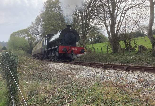 The steam trains of Bodmin and Wenford pass close to Pheasant Rise (now run as a tourist attraction with a max of 5 journeys a day in the summer months)