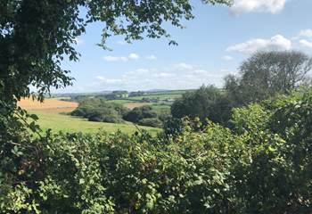The view from the garden looks is idyllic, looking out over open countryside and Bodmin Moor in the distance.