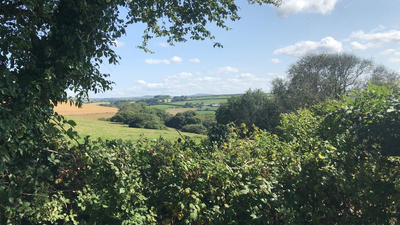 The view from the garden looks is idyllic, looking out over open countryside and Bodmin Moor in the distance.