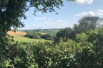 The view from the garden looks is idyllic, looking out over open countryside and Bodmin Moor in the distance