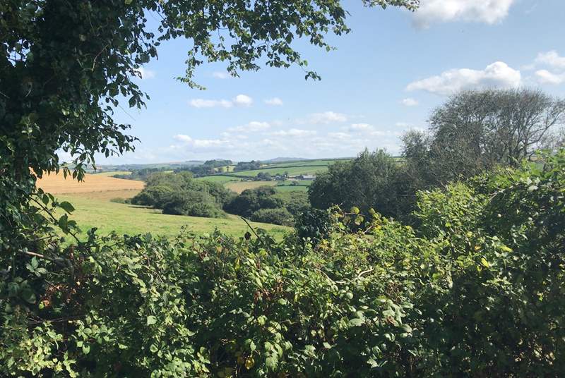 The view from the garden looks is idyllic, looking out over open countryside and Bodmin Moor in the distance