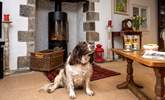 The toasty wood-burner will be a welcome sight on those out-of-season breaks and your four-legged friend is also most welcome to stay. - Thumbnail Image