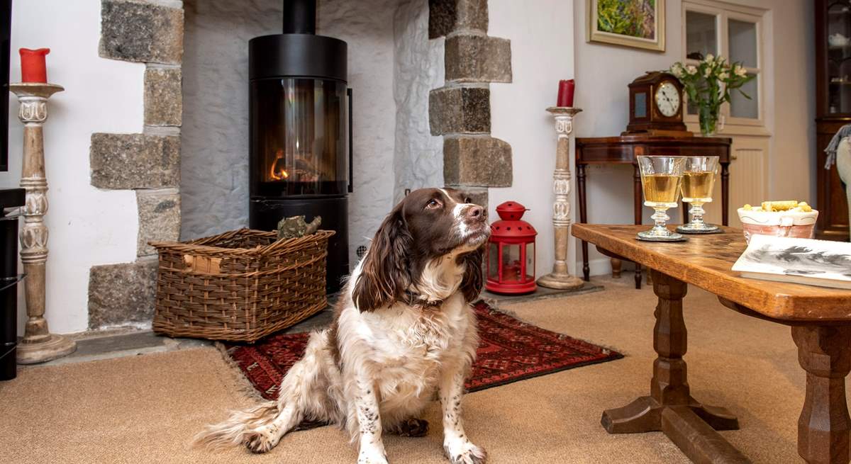 The toasty wood-burner will be a welcome sight on those out-of-season breaks and your four-legged friend is also most welcome to stay.