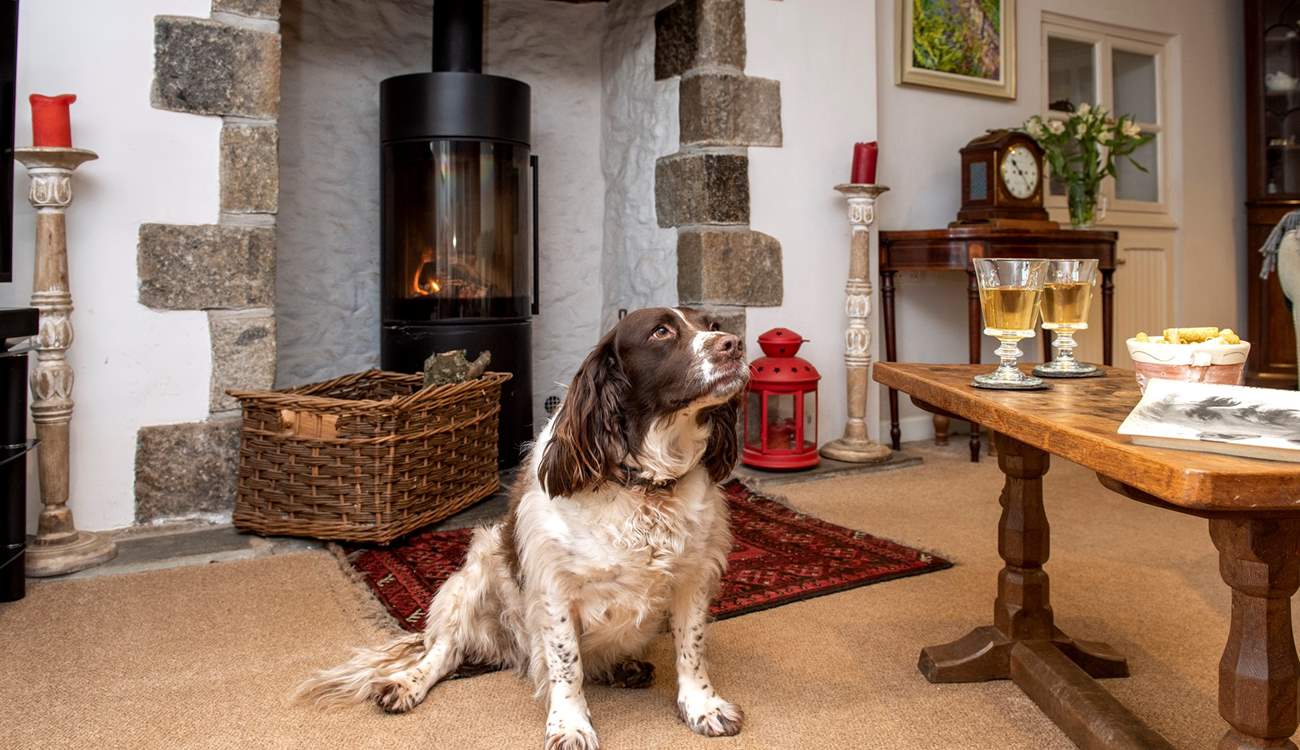 The toasty wood-burner will be a welcome sight on those out-of-season breaks and your four-legged friend is also most welcome to stay.