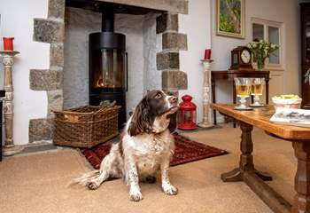 The toasty wood-burner will be a welcome sight on those out-of-season breaks and your four-legged friend is also most welcome to stay.
