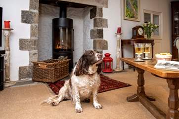 The toasty wood-burner will be a welcome sight on those out-of-season breaks and your four-legged friend is also most welcome to stay.
