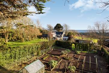 The garden has a viewing platform and what a view you get looking out over the garden and out to St Austell Bay in one direction....