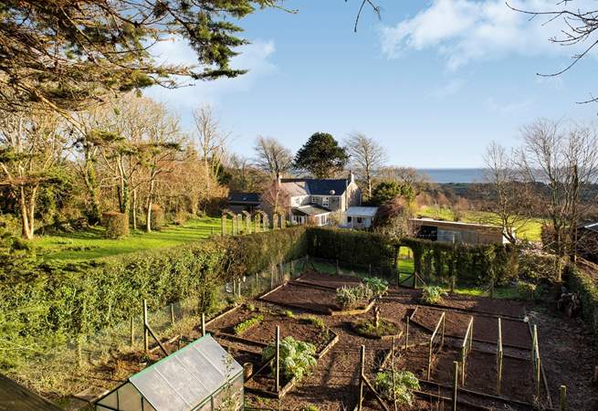 The garden has a viewing platform and what a view you get looking out over the garden and out to St Austell Bay in one direction....