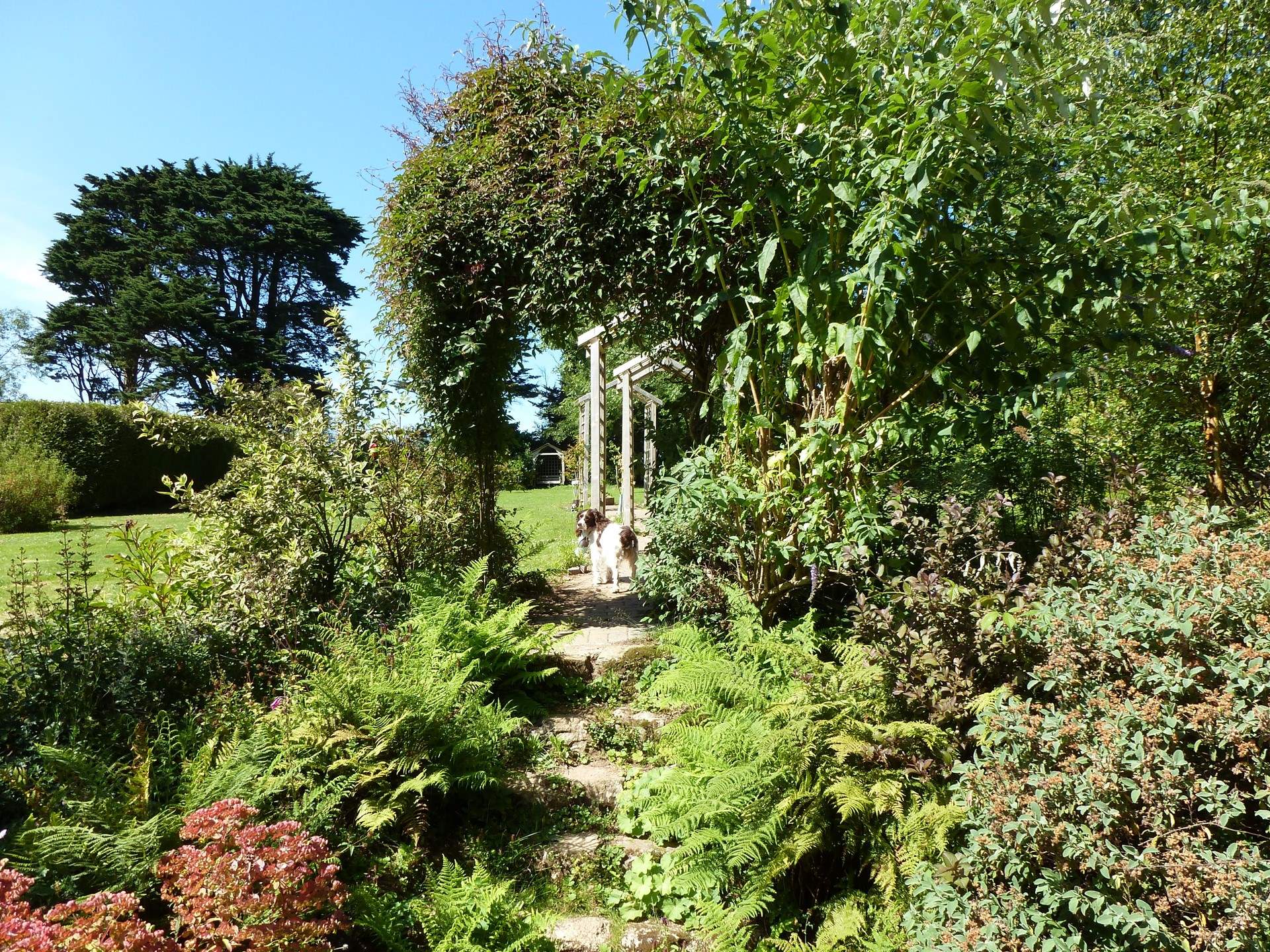 Your four legged friends will simply love their stay a Southleigh House.