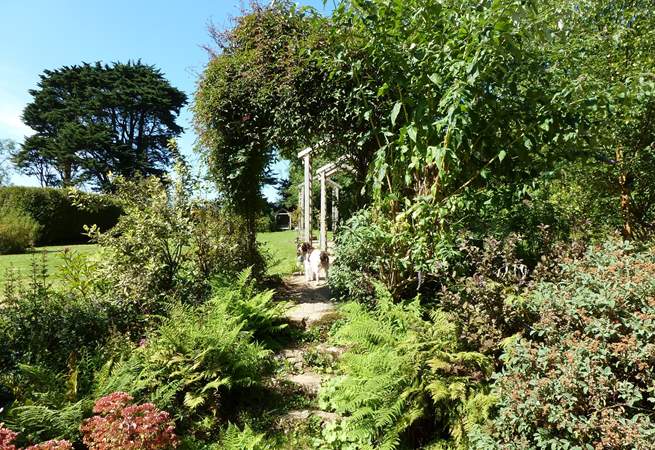 Your four legged friends will simply love their stay a Southleigh House.