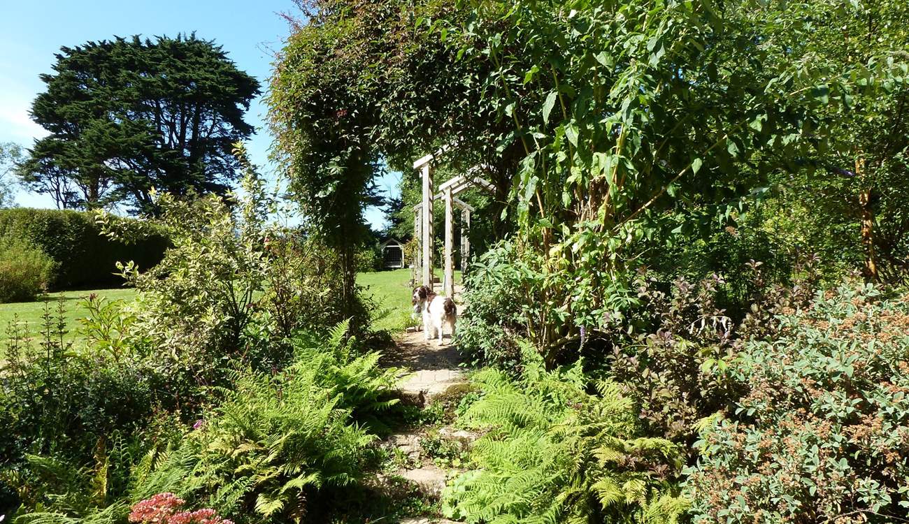 Your four legged friends will simply love their stay a Southleigh House.