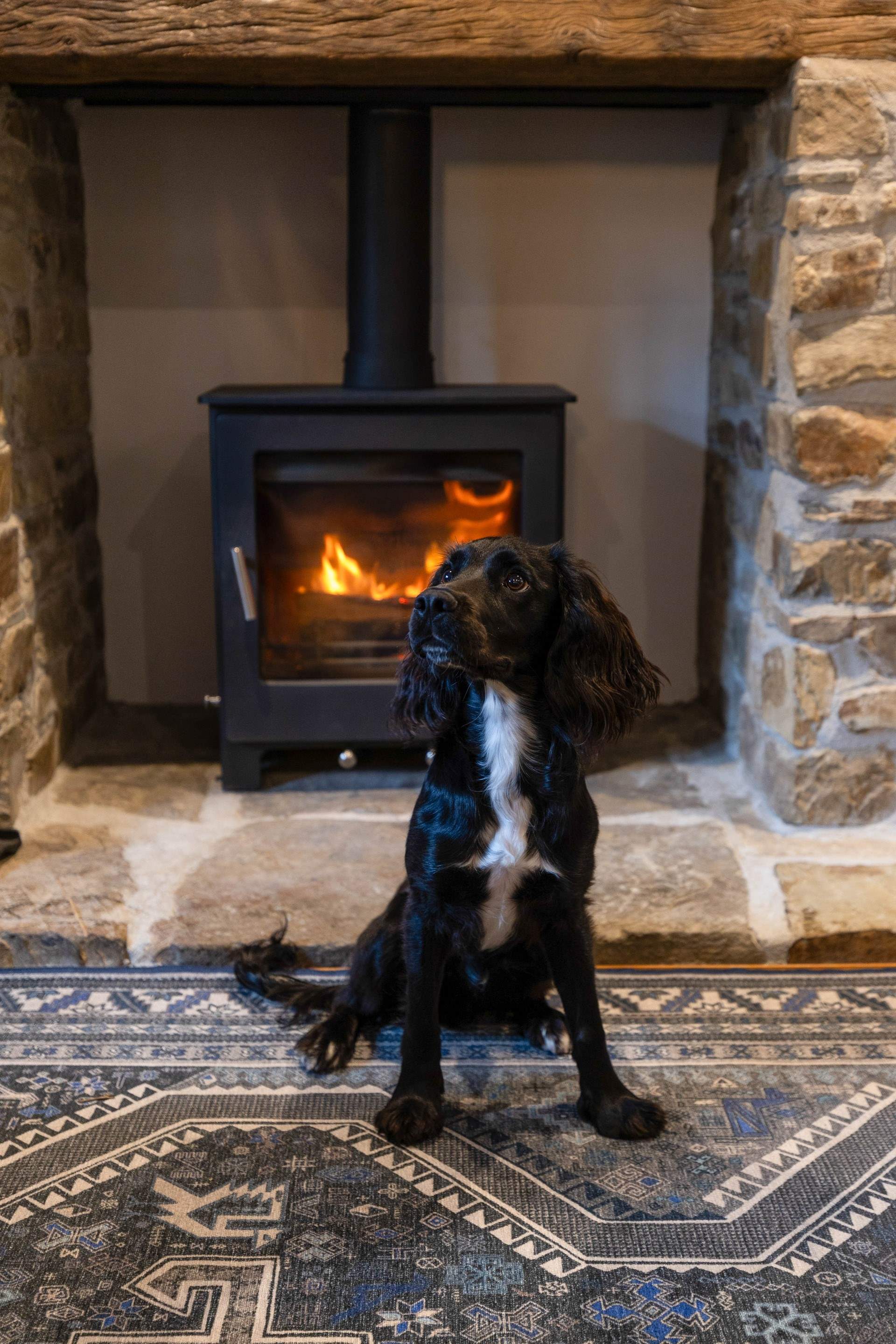 Well-behaved dogs are welcome at Great Eckworthy - The Barn.
