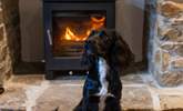 Well-behaved dogs are welcome at Great Eckworthy - The Barn. - Thumbnail Image