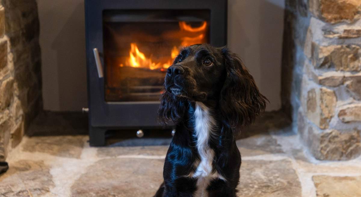 Well-behaved dogs are welcome at Great Eckworthy - The Barn.