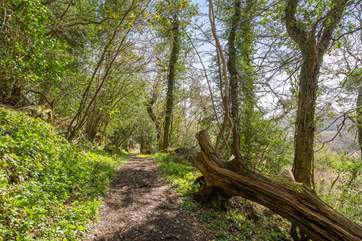 Lots of fabulous walks to discover from your door.