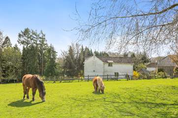 The friendly neighbours!