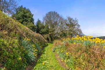 Pull on your walking boots and take one of the many trails which can be accessed from the cottage.
