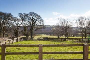 The glorious views over the owners paddock.