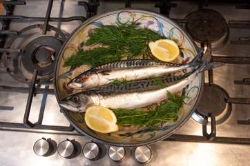 Cornish mackerel, what a treat!