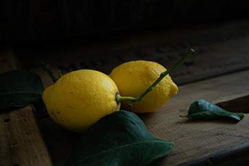 Time for a G&T?