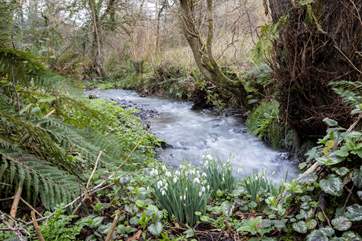 The pretty river down the valley.