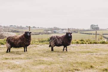 Say hello to your neighbours!