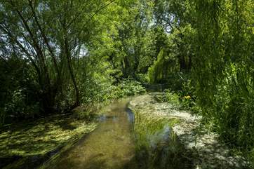 Enjoy total peace and tranquility.