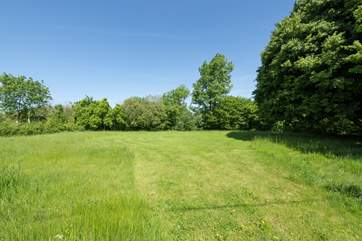 So much green space to explore.