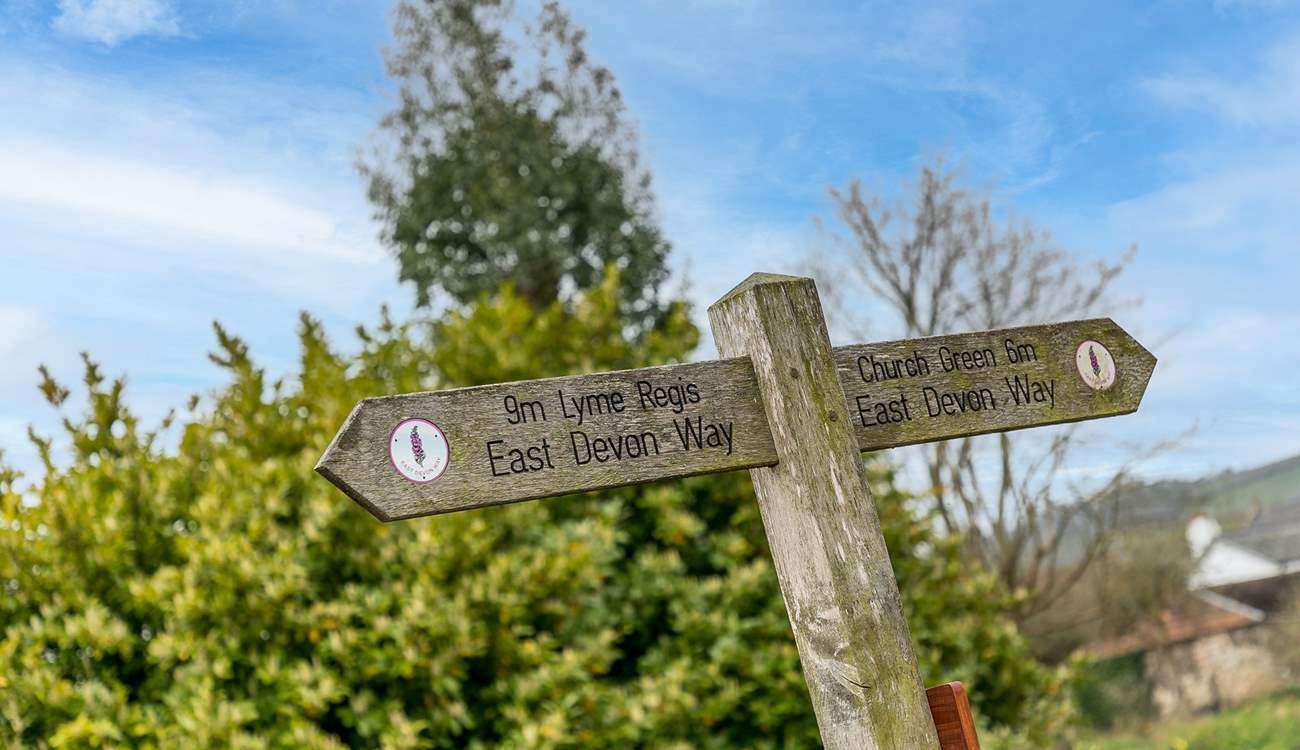 Walks galore from your doorstep.