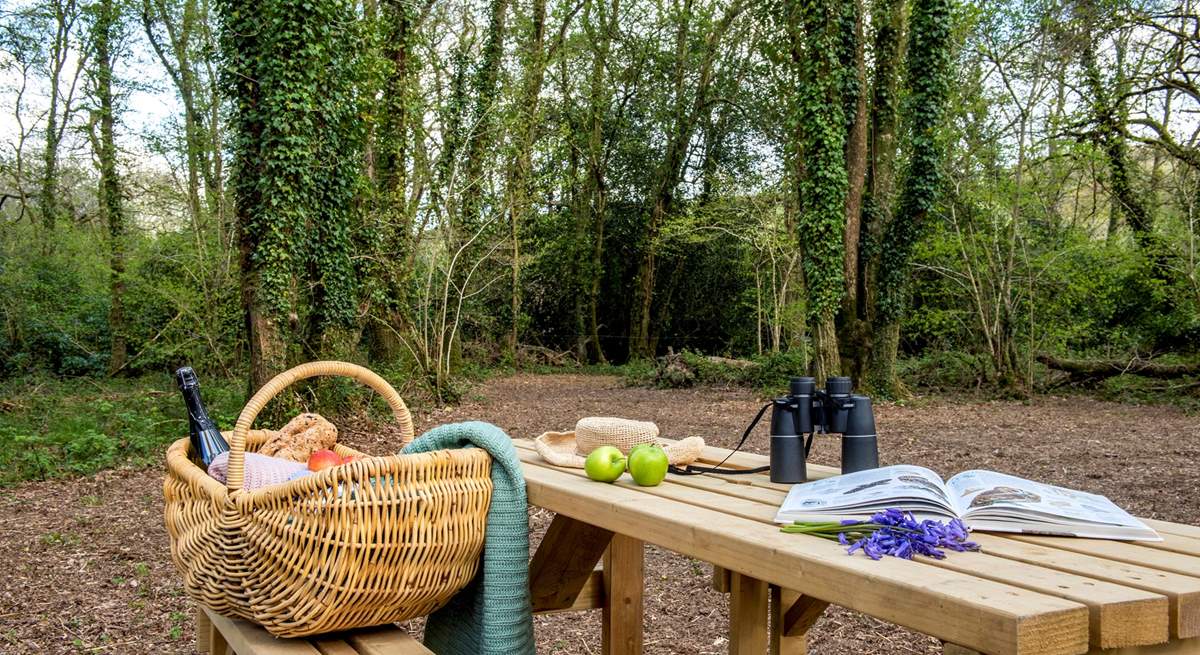 Head off along the woodland walk and stop off along the way for a picnic.