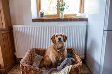 Dogs will love staying here too.