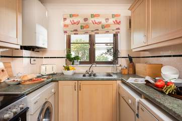 The kitchen is well-equipped for creating holiday meals.