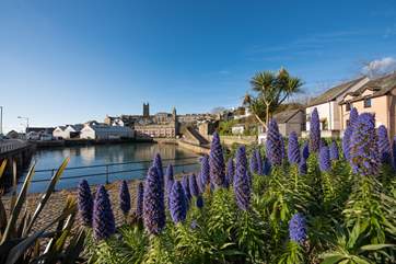 The tranquil harbour is moments away from Crows Nest, what a lovely spot to have your morning coffee.