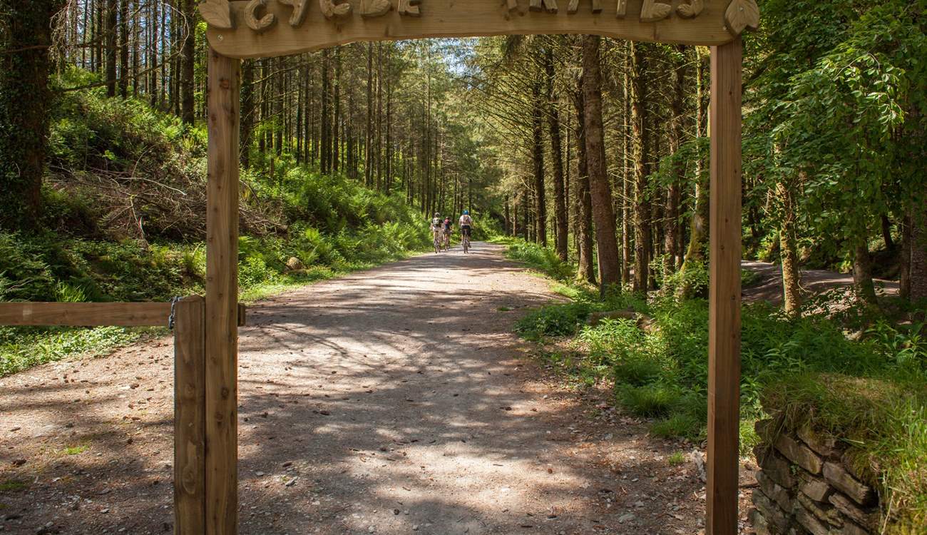 The trails at nearby Cardinham Woods are popular with cyclists.