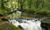 Golitha Falls is just a short drive away and is like something out of a fairytale.  - Thumbnail Image