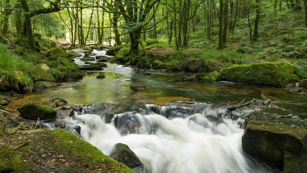 Golitha Falls is just a short drive away and is like something out of a fairytale. 